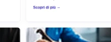 Trascrizioni e revisione